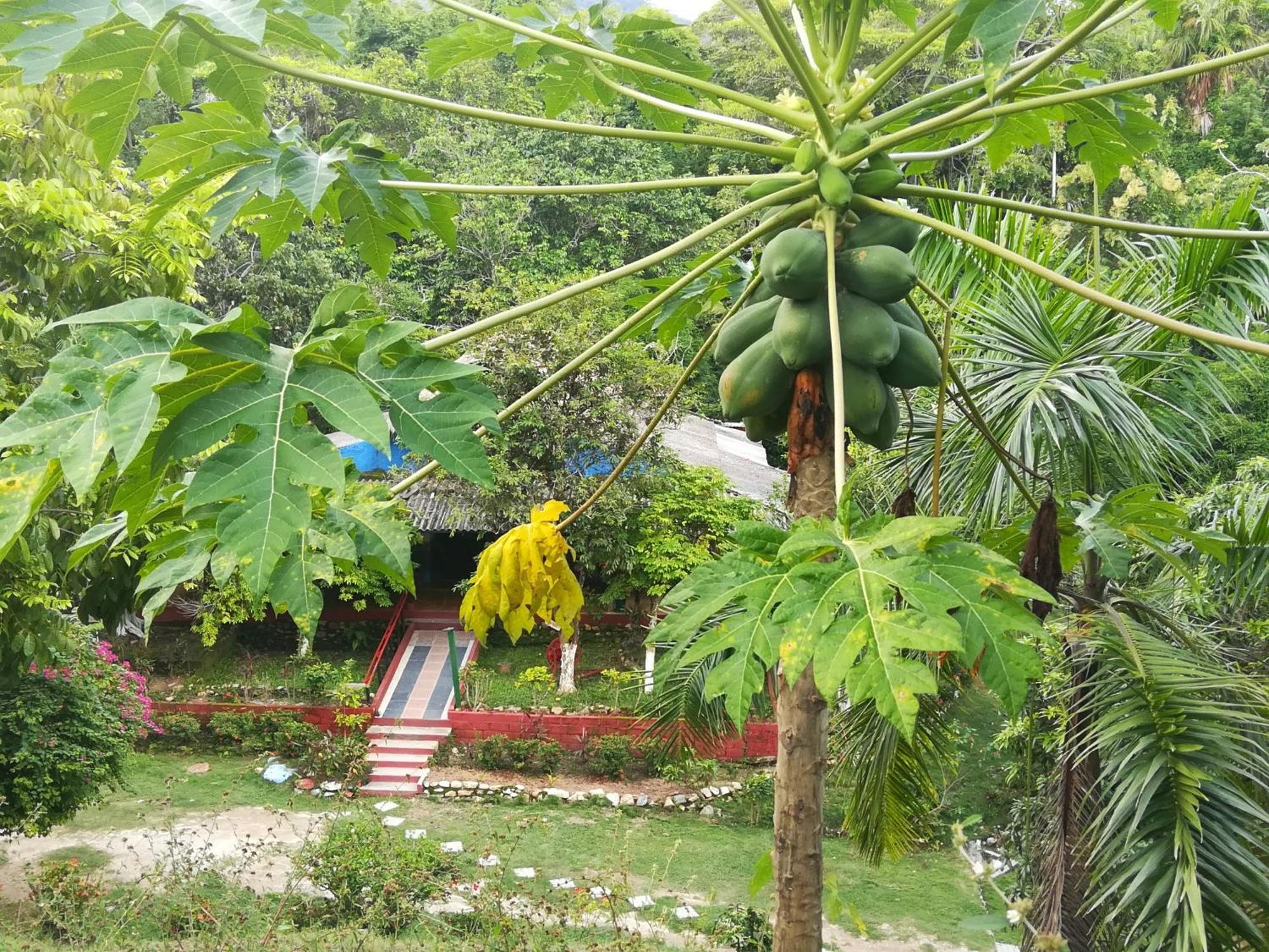 Entre Bosques Tayrona Villa Los Naranjos Kamer foto